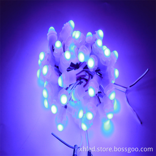 IP67 Waterproof 9mm SMD2025 Single Color Digital LED Pixel Lights for Christmas Decorations